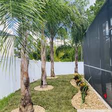 Image result for Isoglossa cataractarum