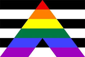 Pride nation lgbt offering exclusive handmade and custom items at awesome price. 21 Lgbtq Flags All Lgbtq Flags Meanings Terms
