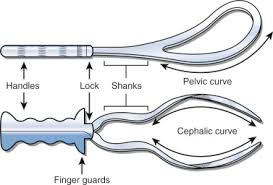Product search type obstetrical forceps; Operative Vaginal Delivery Obgyn Key
