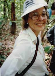 Stevenson v. Castles