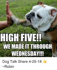 High Five We Madeit Through Wednesday Dog Talk Share 4 25 18 Robin Meme On Me Me