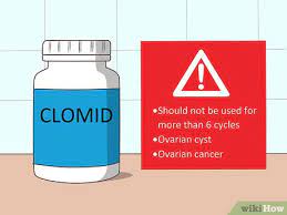 Cara Menggunakan Clomid Dengan Gambar Wikihow