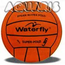 La pallanuoto o palla a nuoto (inglese: Pallanuoto Pallone Pallanuoto