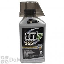 Check spelling or type a new query. Roundup Concentrate Max Control 365