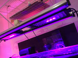 We recommend this option if you intend on using the canopy to support any large or heavy items on the roof. Diy Canopy Reef2reef Saltwater And Reef Aquarium Forum