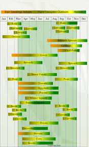 Zone 8 Vegetable Planting Calendar Describing Approximate