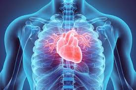 Dokter spesialis jantung & pembuluh darah sekaligus konsultan kardiologi intervensi dan konsultan. Jantung Berdetak Lebih Cepat Lakukan 3 Cara Agar Jantung Lebih Sehat Semua Halaman Grid Health