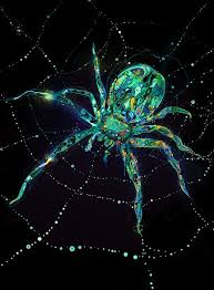 Neocha Spider Art Art Illustration Tumblr