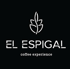 El Espigal