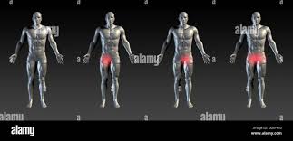 Parts Of The Body | English Vocabulary | Human Body Vocabulary, Vocabulary,  Human Body Parts