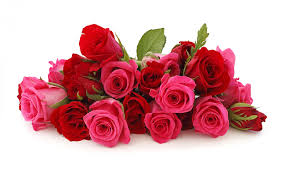 Over 9m customers · subscribe & save · no download limit Red Rose Pink Rose Flowers Bouquet Hd Wallpaper Wallpapers13 Com