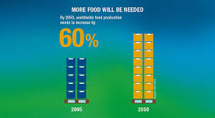 Bayers Research In Agriculture Feeding The Growing Population