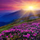 Clinical Hypnosis for Joy, Energy and Vitality (IN event image