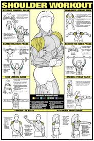 shoulder workout fitness chart co ed