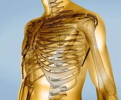 So you are experiencing involuntary contractions of an underlying muscle i get a popping sensation under the right rib cage, and i know that mine is due to scar tissue inside the pleura. What Could Pain And Numbness Under Your Rib Cage Mean Women S Health Medical Answers Family Health Center Steadyhealth Com