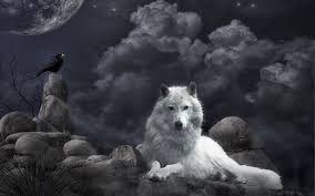 Pin By Mccann On Backgrounds Wolf Background Wolf Wallpaper Fantasy Wolf