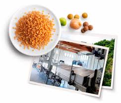 600, 1,200, 2,400 kg/h couscous is a natural product dating back to an ancient tradition that requires care and expertise to be formed and cooked in compliance with the standards required to make it a healthy and enjoyable food. Cous Cous