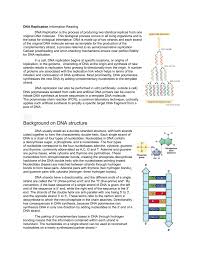During replication, the two dna strands separate at multiple points along the length of the chromosome. Dna Replication Worksheet And Reading