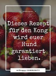 rezept mit erdbeeren frozen kong die 3 kong level midoggy community hunde ernahrung kuchen fur hunde hunde kuchen