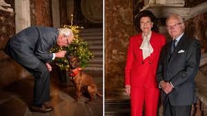 Edinai mello gostosa totally suggest if youre