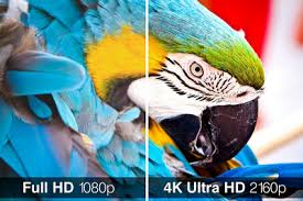 If you like to watch youtube videos offline, there are several good downloaders out there to help you out. 2021 New Simple Tutorial On How To Download 4k Video From Youtube Vimeo And Other Sites Completely