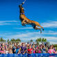 10th Annual North Fork Dog Dock Diving Event