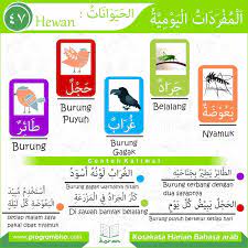 Barang siapa terbiasa dengan sesuatu, pasti dia akan menjadi ahlinya. jadi, jika anda ingin bisa menguasai bahasa arab (mahir dan jago), maka tidak ada jalan lain kecuali mencoba mempraktekkannya dalam keseharian, dengan. Kosakata Harian Bahasa Arab Bisa 47 Ø¨ Ø³ Ù… Ø§Ù„Ù„ Ù‡ Ø§Ù„Ø± Ø­ Ù… Ù† Ø§Ù„Ø± Ø­ ÙŠ Ù…
