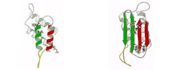 RÃ©sultat de recherche d'images pour "prions maladie"