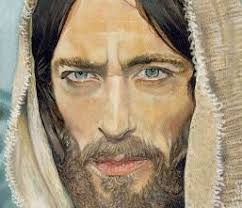 Steve Skipper, Colors of Character — In Awe By Bruce