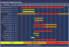 Pa Fly Fishing Hatch Chart Image Of Fishing