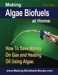Download the getupside app and save 25¢ per gallon. Making Algae Biofuels How To Save Money On Gas And Heating Oil Using Algae Sieg David N 9781477417492 Amazon Com Books