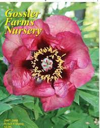 Maybe you would like to learn more about one of these? Cornus Alternifoha Ar