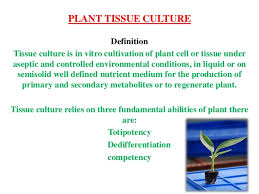 The fusion of two cells of two different plants. Plant Tissue Culture By Thanuja