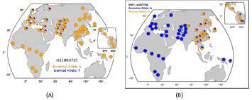 My hair has varied from straight as a child, to very curly/frizzy in my teens, to wavy now. Is It Better To Have Curly Or Straight Hair Genes And Hair Curl