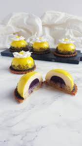 Reddit Food Homemade Lemon And Blueberry Mousse Domes Fancy Desserts Recipes Mousse Recipes Fancy Desserts