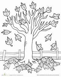 Enjoy our online coloring pages! Fall Kindergarten Nature Worksheets Maple Tree Coloring Page Worksheet By Janies Fall Coloring Pages Tree Coloring Page Fall Coloring Sheets