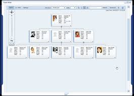 Mss Embedded Org Chart Visualization Free Ehp5 With Mss