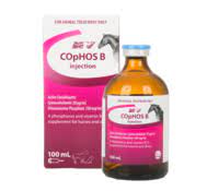 Atp is the energy source that is typically used by an organism in its daily activities. Amp 5 Injection Products List Products Ceva Australia