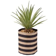 Succulente Artificielle Et Pot En Jute Motifs A Rayures Sur Maisons Du Monde Piochez Parmi Nos M Plantes Grasses Artificielles Arbres En Pots Plantes Grasses