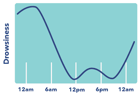 the complete guide to circadian rhythm sleepopolis