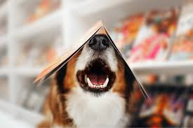 Order pet stores near you. Pet Friendly Retail Stores 15 Chains Your Pup Will Love Shopping At