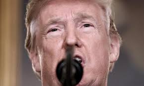 Pro-Israel and pro-Palestine groups