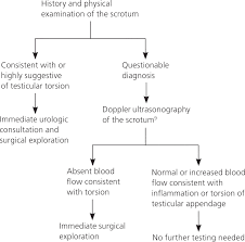 Testicular Torsion Diagnosis Evaluation And Management