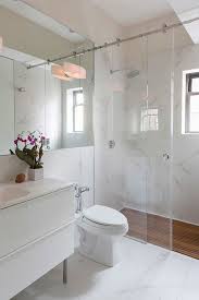 Living With A Small Bathroom Small Bathroom Remodel Shower Doors Glass Shower Doors Frameless