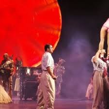 Cirque Du Soleil 41 Photos 11 Reviews Performing Arts