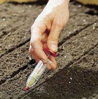 What Is The Ideal Soil Temperature For Sowing Vegetable Seeds In The Garden Blog Growjoy Garden Supplies Seed Planter Vegetable Seed