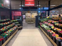 Put it this way, i can go to the local grocery store and put together an arrangement that will look much better and. Flower Power Gmbh Home Facebook