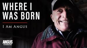 Phil & Ruth Abrahamson