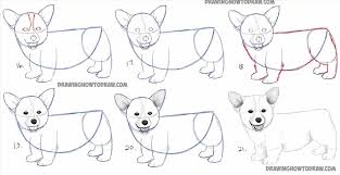 How to draw this cartoon dog step by step. Realistic Dog Drawing Step By Step At Paintingvalley Com Explore Collection Of Realistic Dog Drawing Step By Step