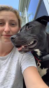 My pack ! Everyone of them are Euthanasia rescues other than my Great Dane  he was a Resue in a backyard breeder These dogs didn't get homes because  they where unwanted and